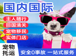 上海虹桥机场快运国际宠物托运 【国